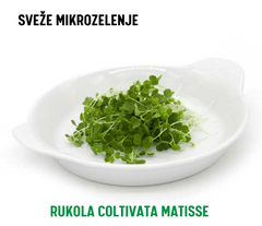 Sveže Mikrozelenje Rukola COLTIVATA MATISSE